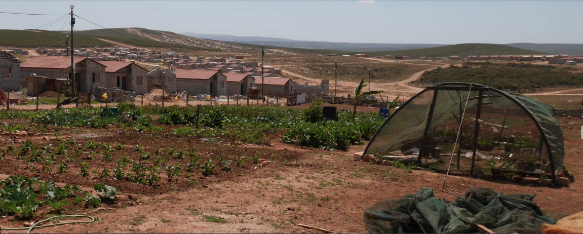 Taken by Saga, in 2016 shows one of the agricultural project in Joe Slovo and incomplete houses. 